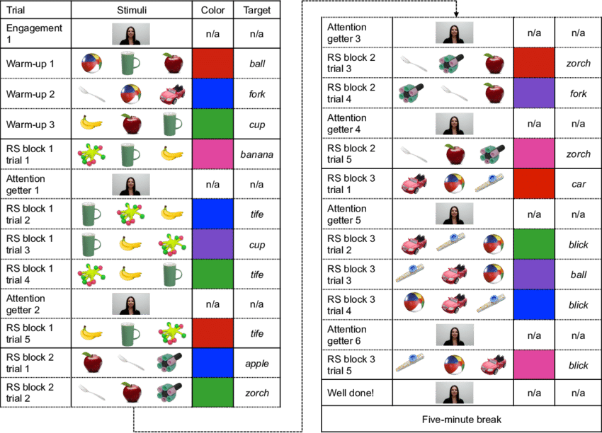 Example Warm-up And Referent Selection Trial Order, - Color (850x612), Png Download
