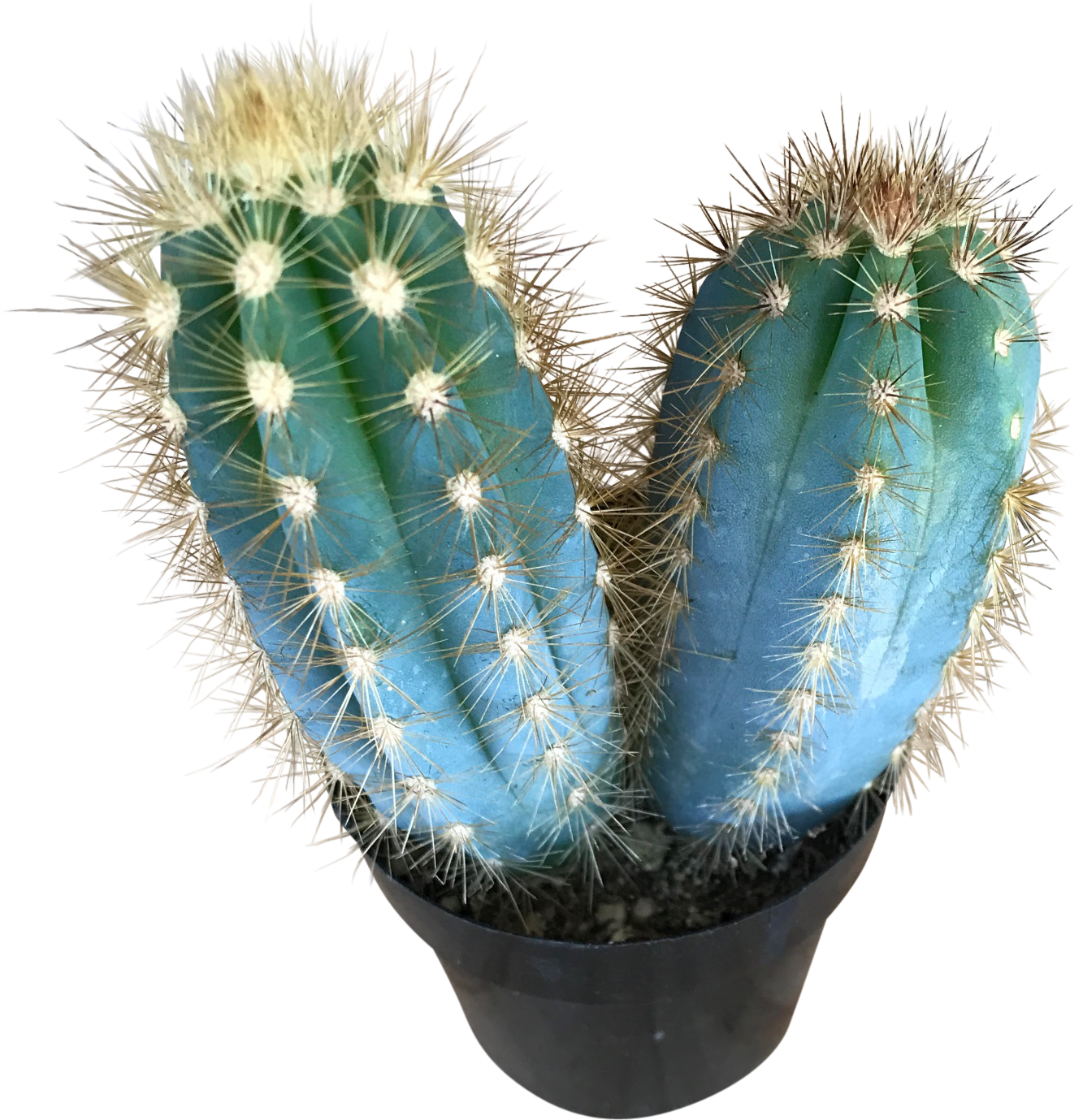 Blue Candle Mini - Blue (1730x1730), Png Download