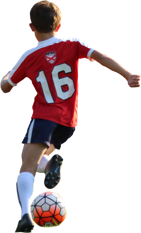 About Us - Library (657x1024), Png Download