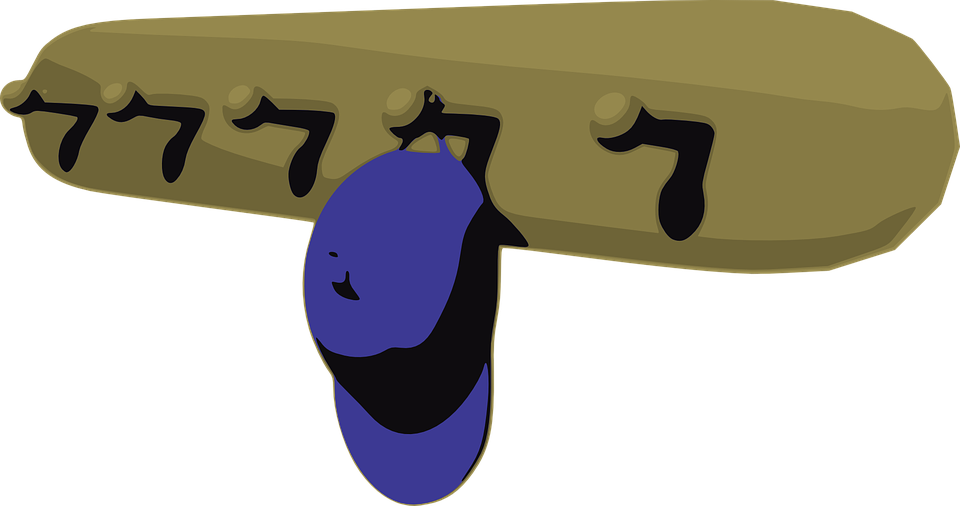 Hat Peg Rack Hat Rack Cap - Coat Pegs Clipart (960x506), Png Download