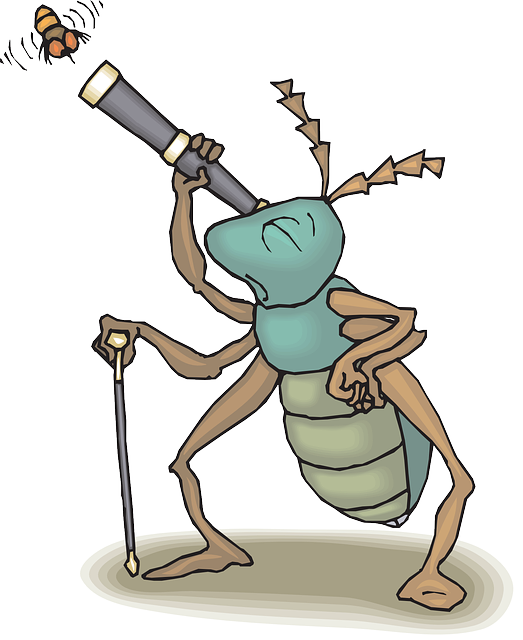 Cartoon, Telescope, Bug, Fly, Flying, Watching, Insect - Science (523x640), Png Download