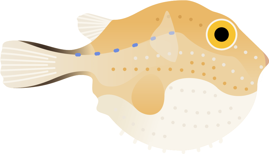 Puffer Fish Poster - Boxfishes And Trunkfish (1641x2201), Png Download