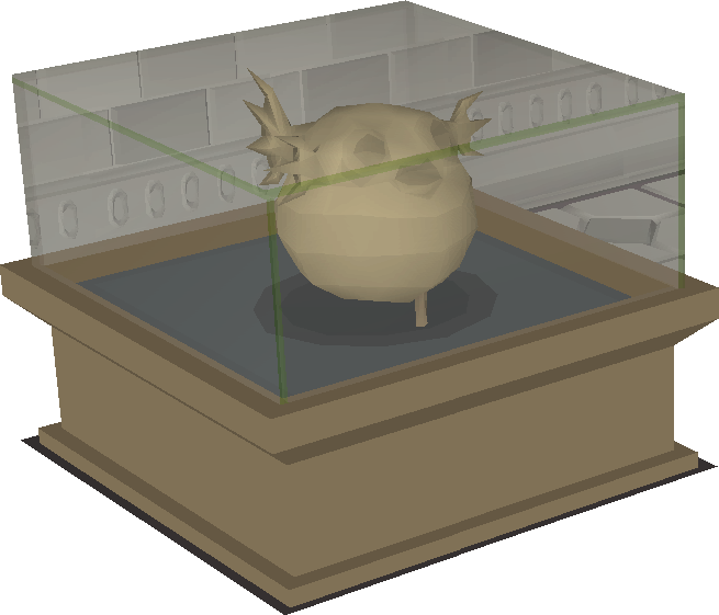 Petrified Pufferfish Display - Pufferfish (655x561), Png Download