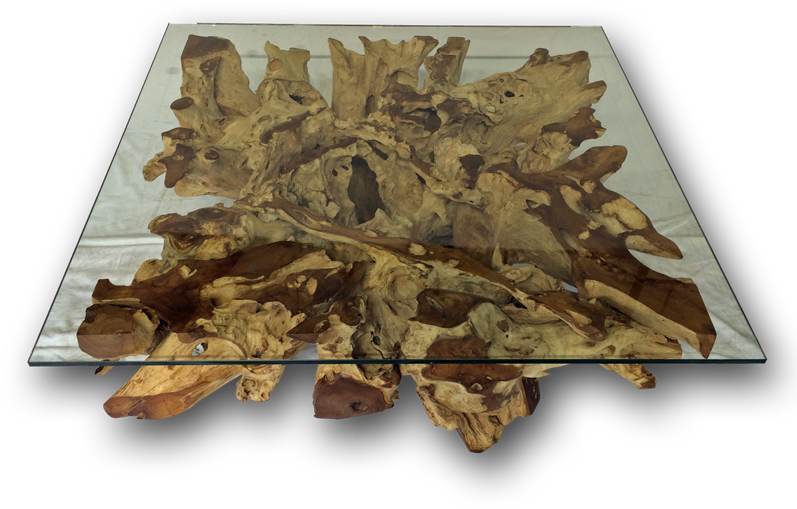 Teak Root/stone Spider Square Spider Coffee Table - Coffee Table (800x800), Png Download