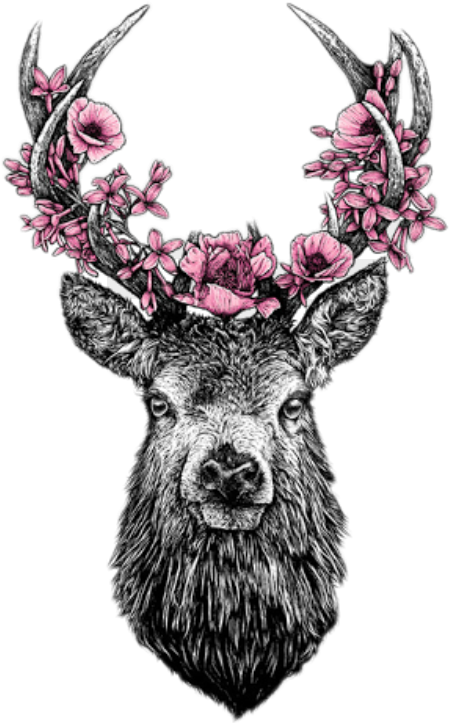 Report Abuse - Transparent Deer Tattoo (449x723), Png Download