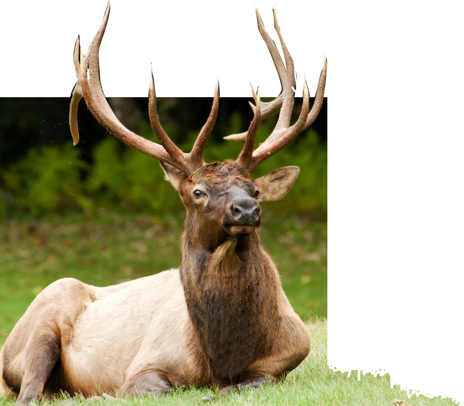 About - Hc 300m Sans Fil Caméra De Chasse Caméscope Full Hd (927x811), Png Download