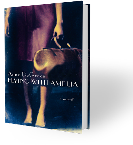 3d Book Large - Flying With Amelia By Anne Degrace (600x526), Png Download
