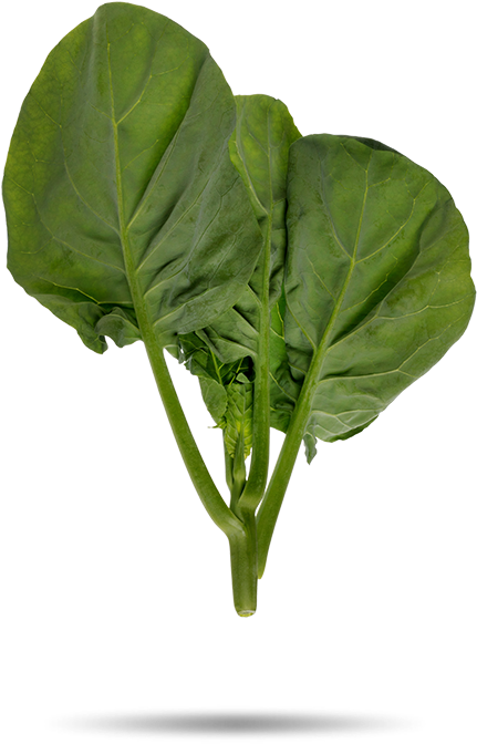 Tatsoi (740x900), Png Download