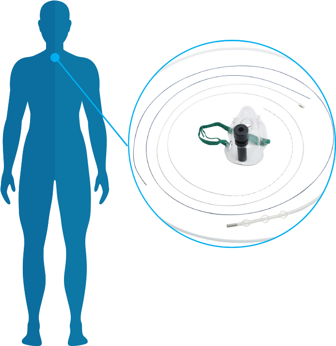 Bronchus And<br>esophagus Applicators - Body-opedia Name That Body Part By Speedy Publishing (800x800), Png Download