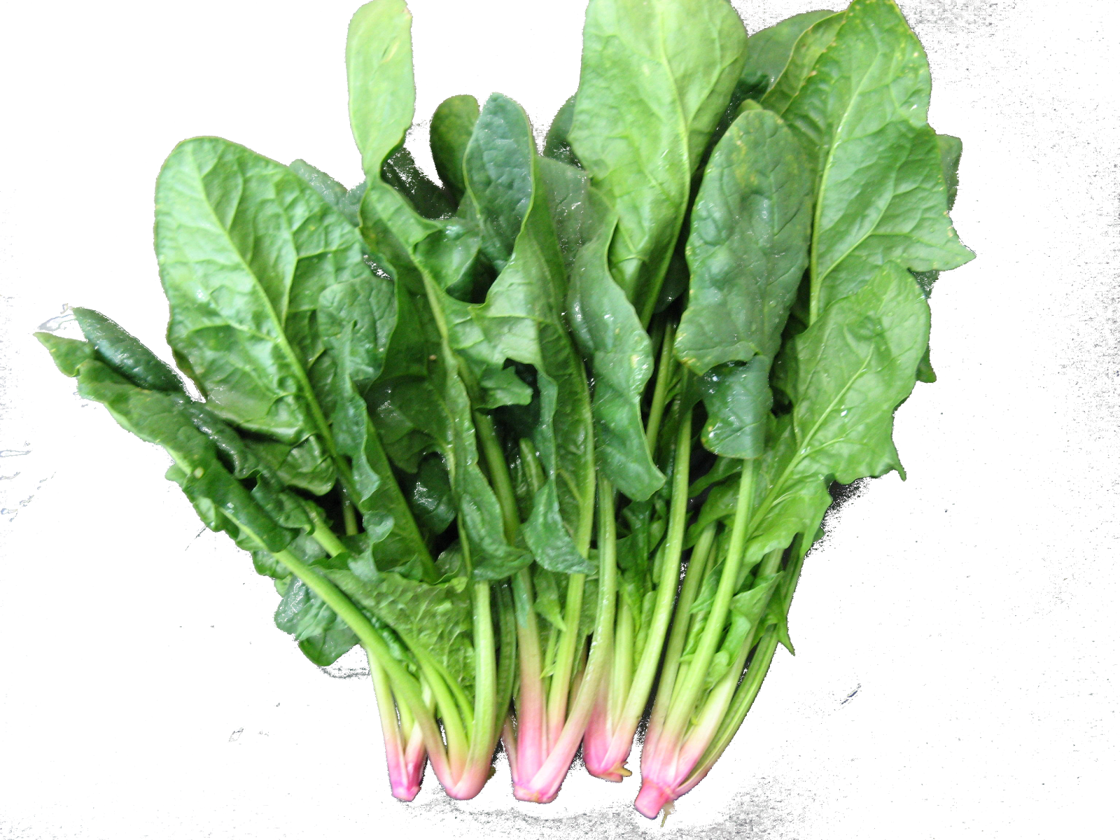 The Problems That Current Nuclear Plants Have - Vegetable (1600x1200), Png Download