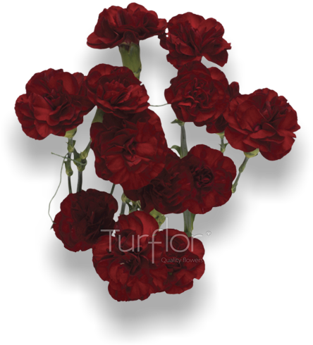 Calgary International Airport (652x532), Png Download