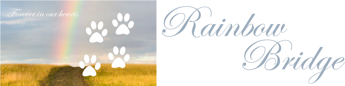 Rb Banner (1200x288), Png Download