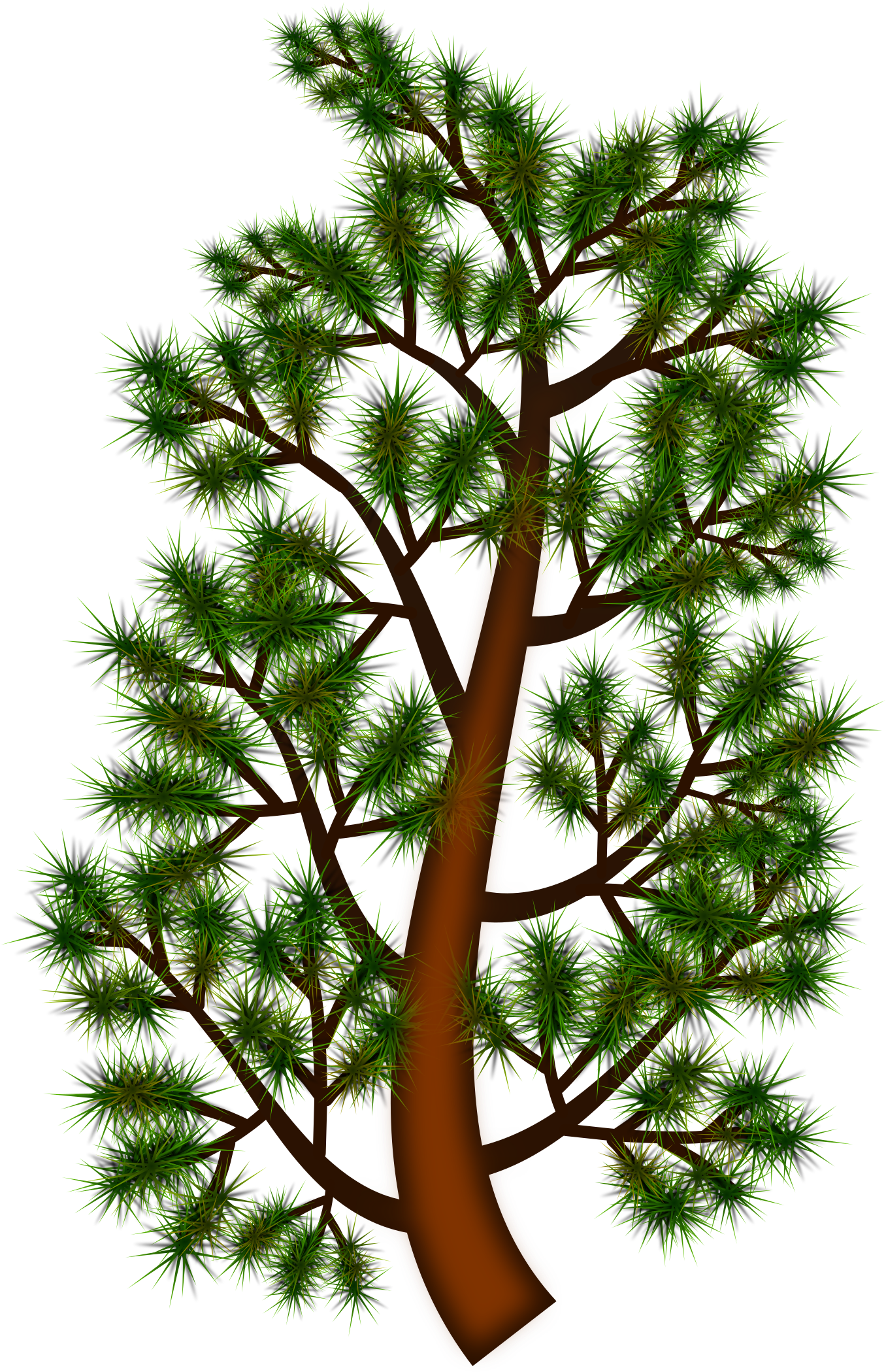 This Free Icons Png Design Of Pine Tree Branch (1697x2400), Png Download