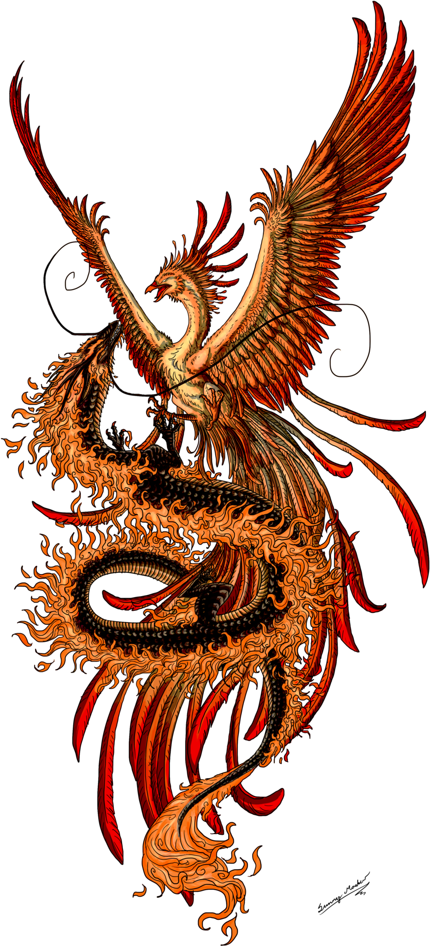 Phoenix Tattoos Png Transparent Phoenix Tattoos - Chinese Phoenix Tattoo (900x1943), Png Download