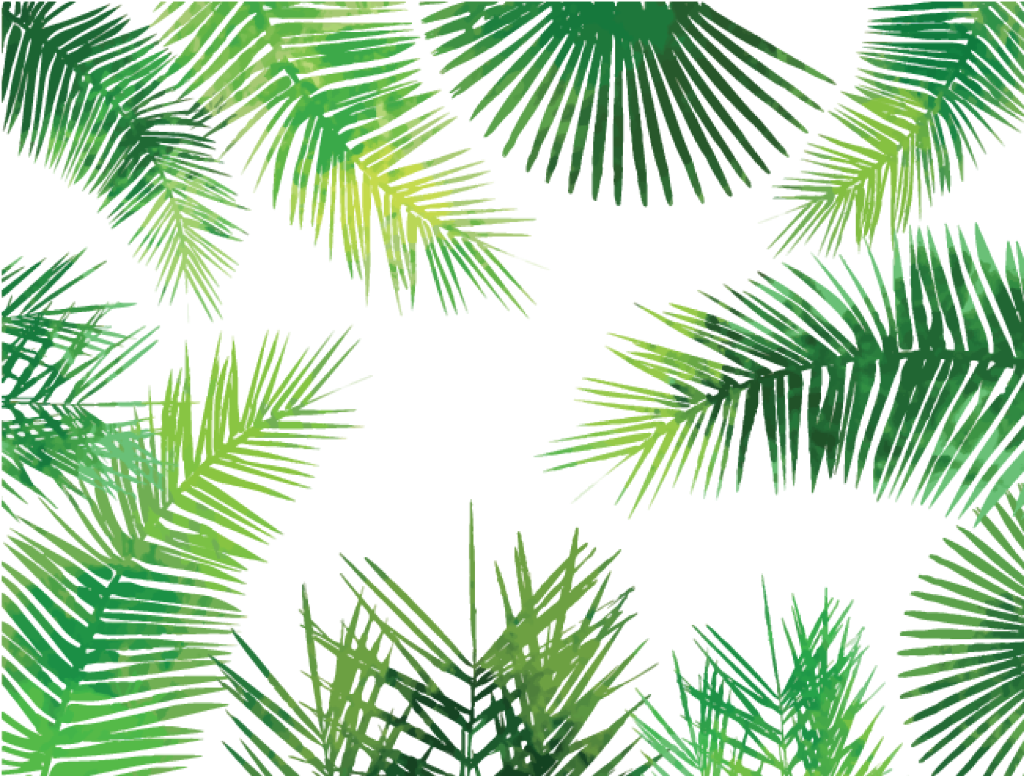 Watercolor Palm Leaves Png - Palm Leaves Pattern Png (2000x1516), Png Download