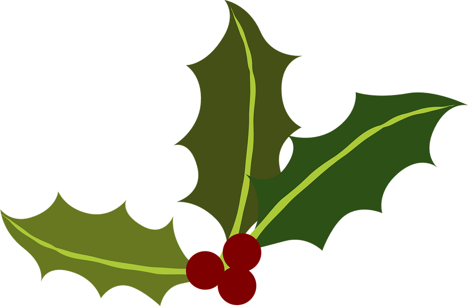 Green Holly Berries - Holly Leaf Png (960x628), Png Download