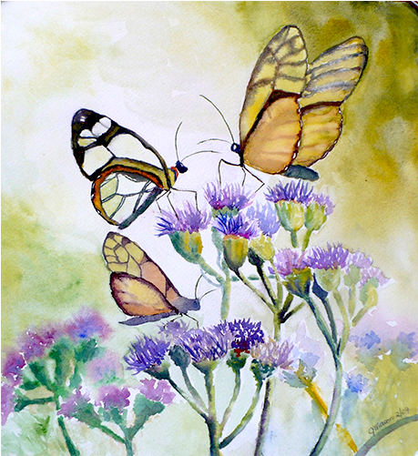 Butterflies - Watercolour Butterfly On Flower (600x500), Png Download