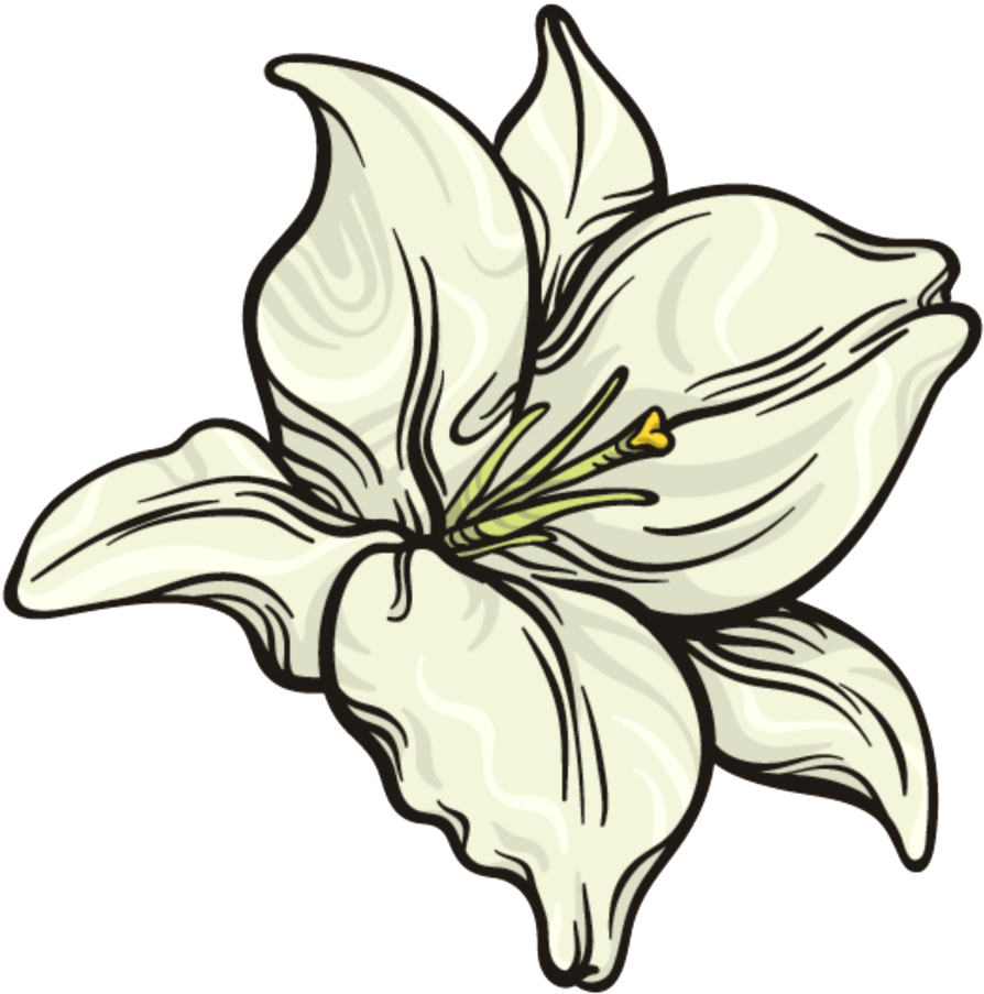 This Graphics Is Snow White Flower Png Transparent - Portable Network Graphics (1024x1024), Png Download
