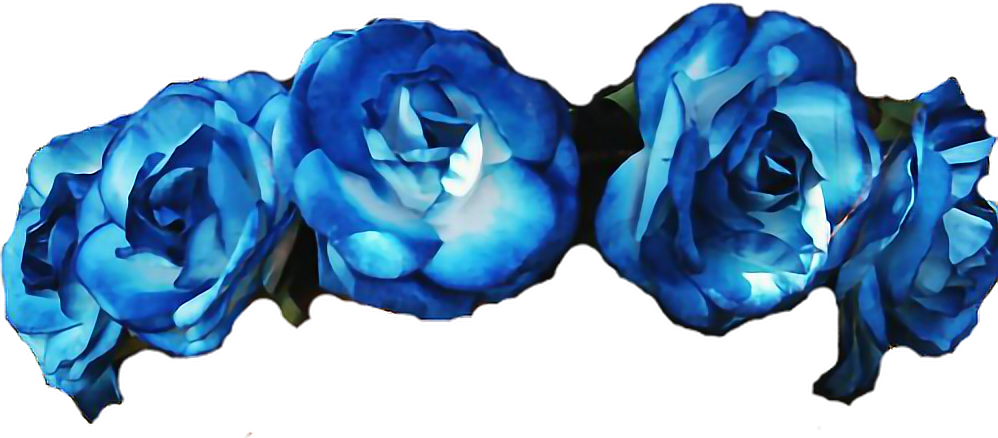 Flowers Roses Flowercrown Diadem Blue Flower Crown - Flower Crown Blue Png (998x438), Png Download