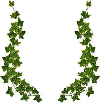Ivy Drawing Frame - Green Leaf Border Design Png (360x381), Png Download