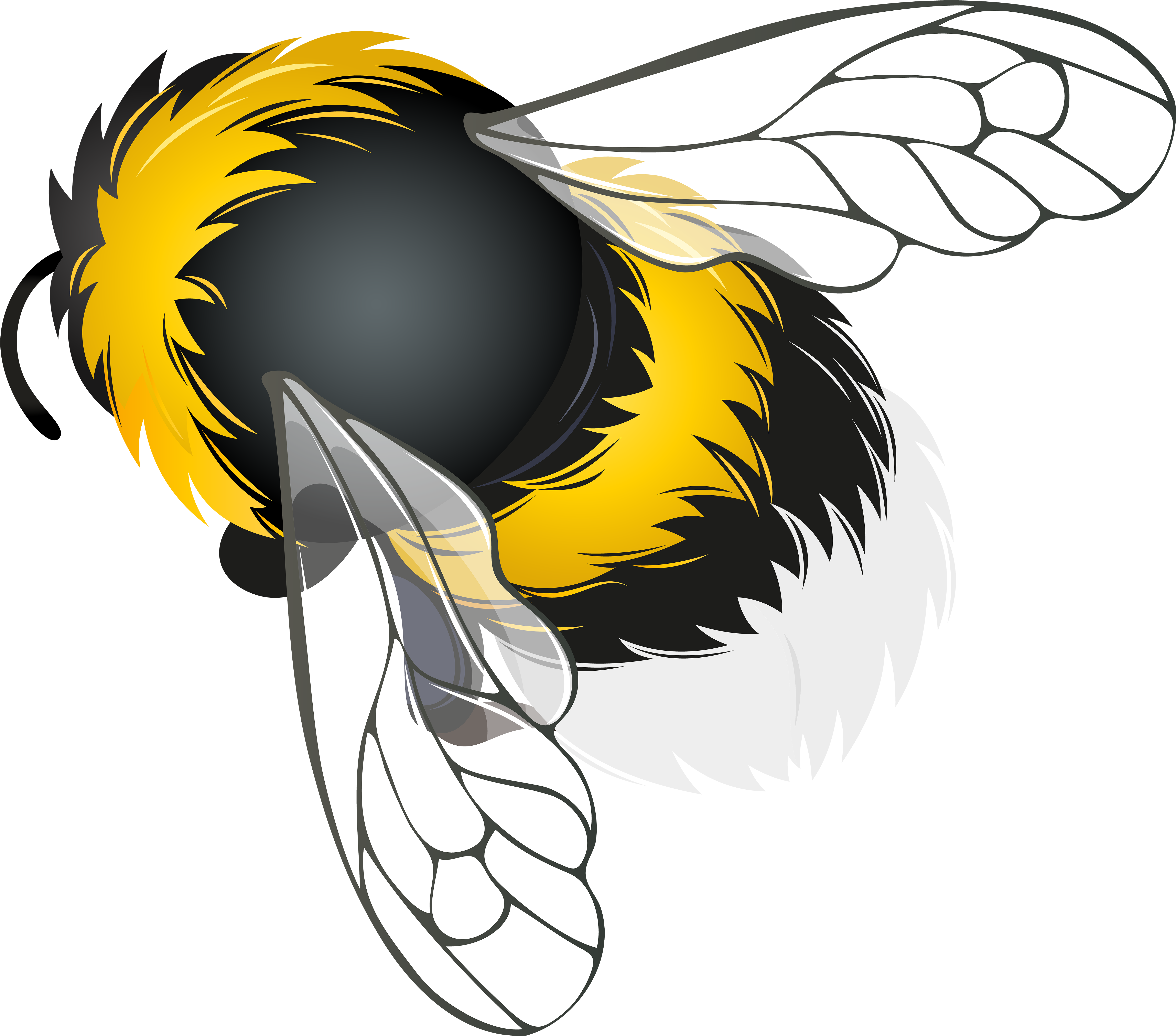 Bee Png Clipart - Bee Png Clip Art (6000x5284), Png Download