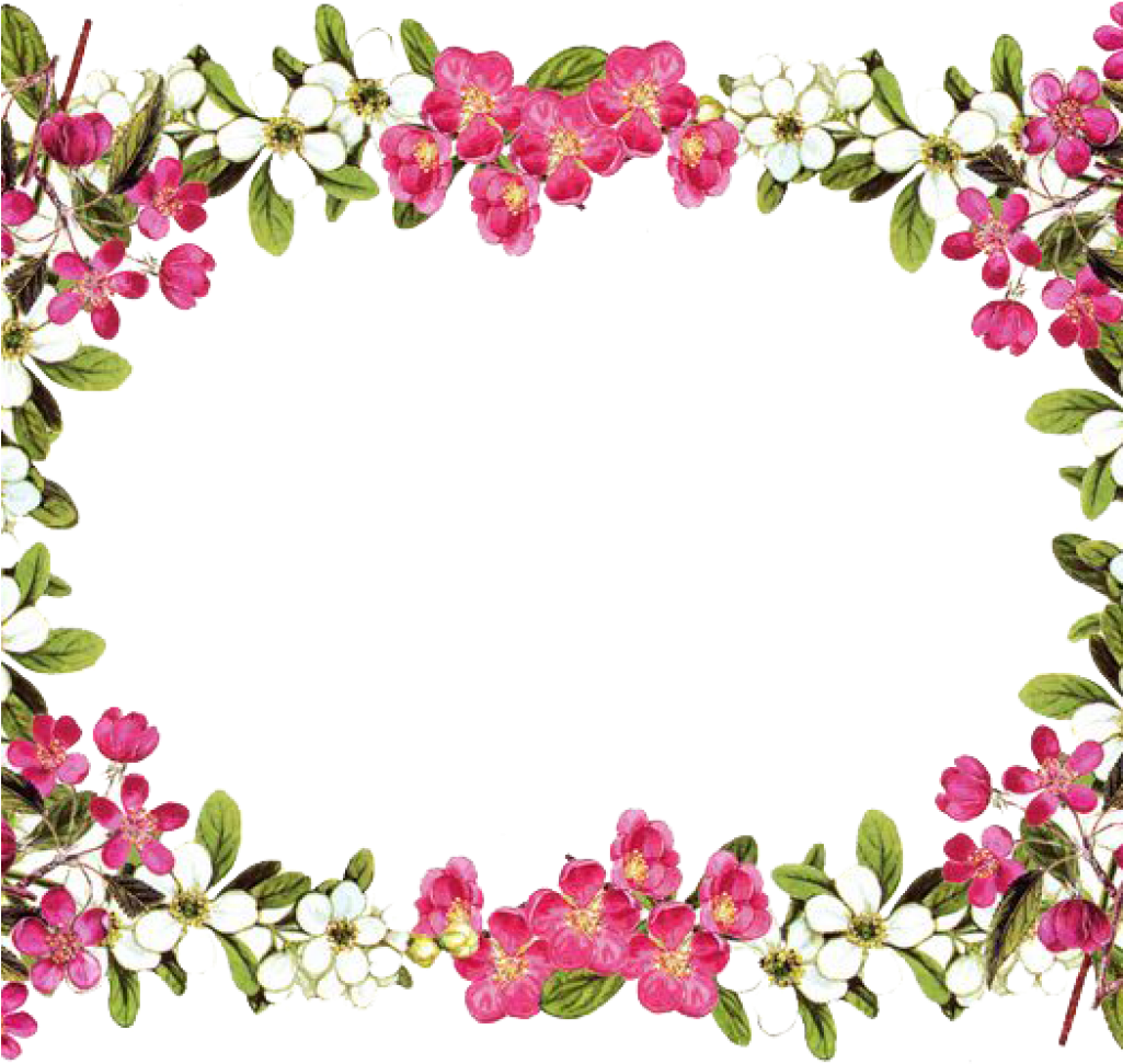 Flower Border Png Animal Clipart Hatenylo - Floral Borders And Frames (1024x1024), Png Download