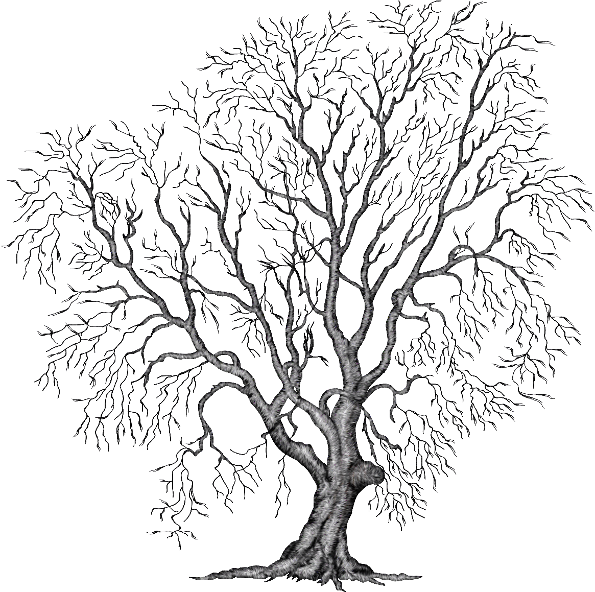 Painting Tree Clipart Illustration Png File Autumn - Trees In Autumn Png (1164x1214), Png Download