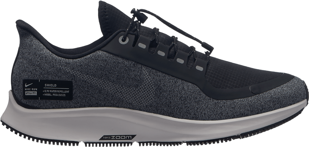 02 pegasus 35 shield