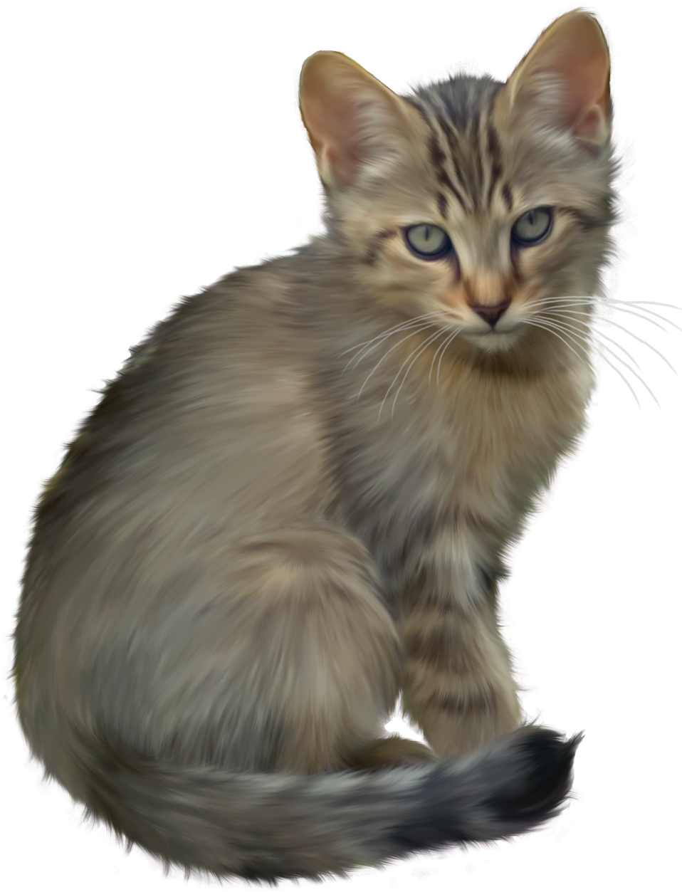 Cute Kitten Png Clipart - Real Kitten Clip Art (975x1258), Png Download