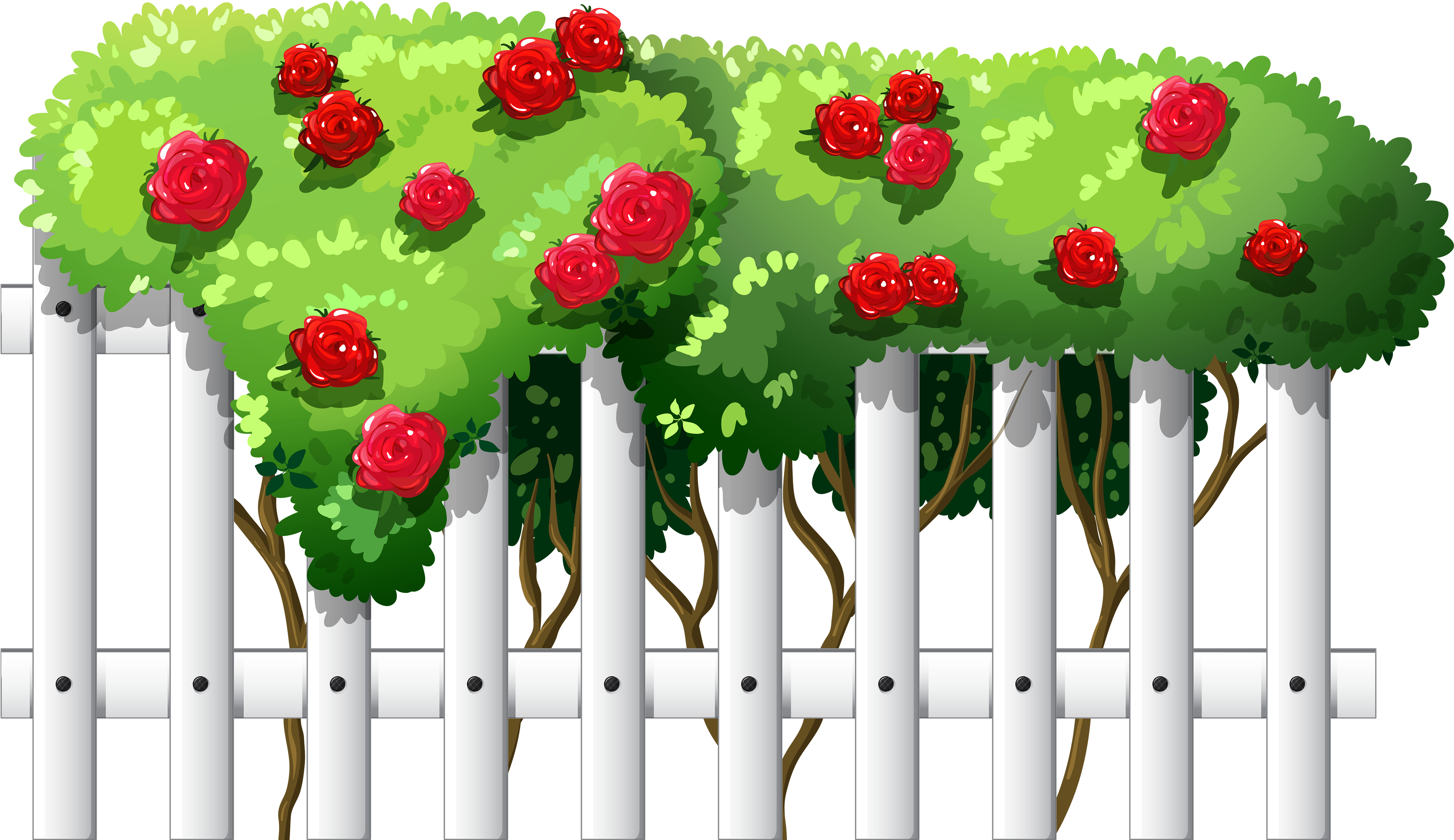 White Fence With Roses Png Clipart - Rose Fence Vector (4000x2381), Png Download