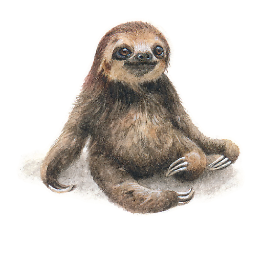 Off Of The Back Of Her Hugely Successful Previous Projects - Realistic Drawing Of A Sloth (1181x1181), Png Download
