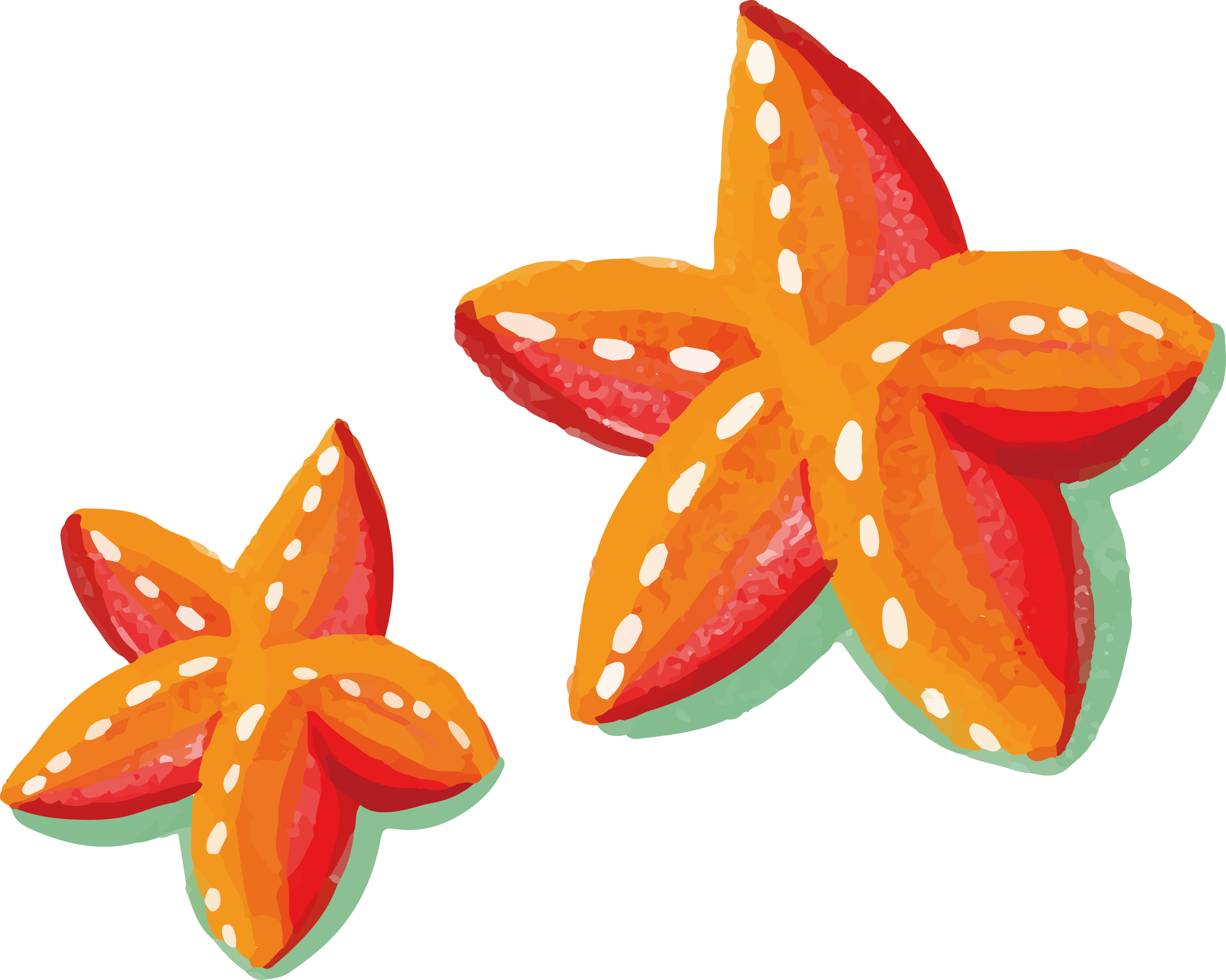 Painting Orange Painted Transprent Png Free Download - Watercolor Painting (4343x3473), Png Download