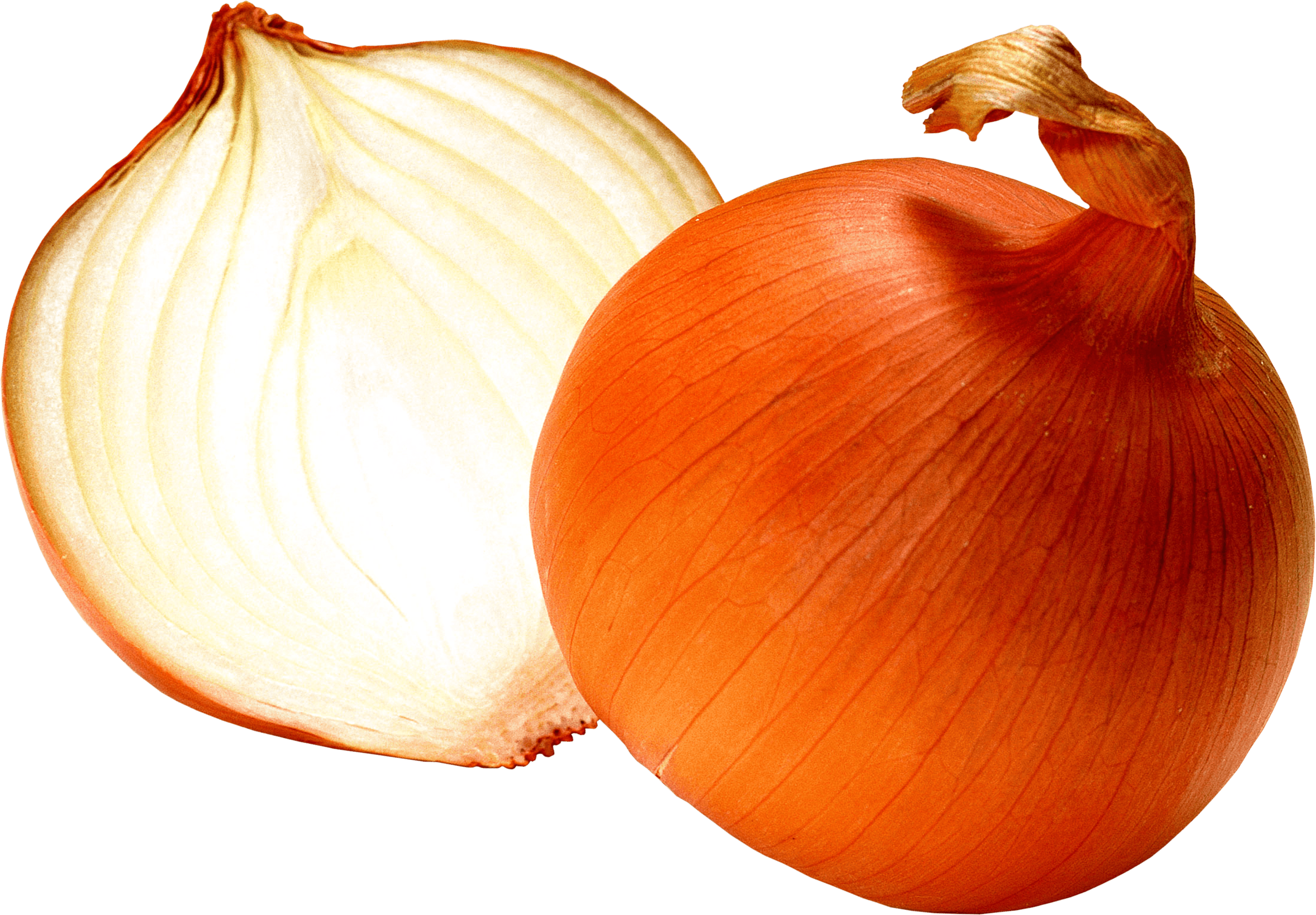 Open Onion - Onions Png (3000x2085), Png Download