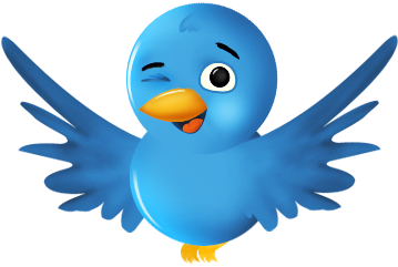 Cute Bird Transparent Background (360x360), Png Download
