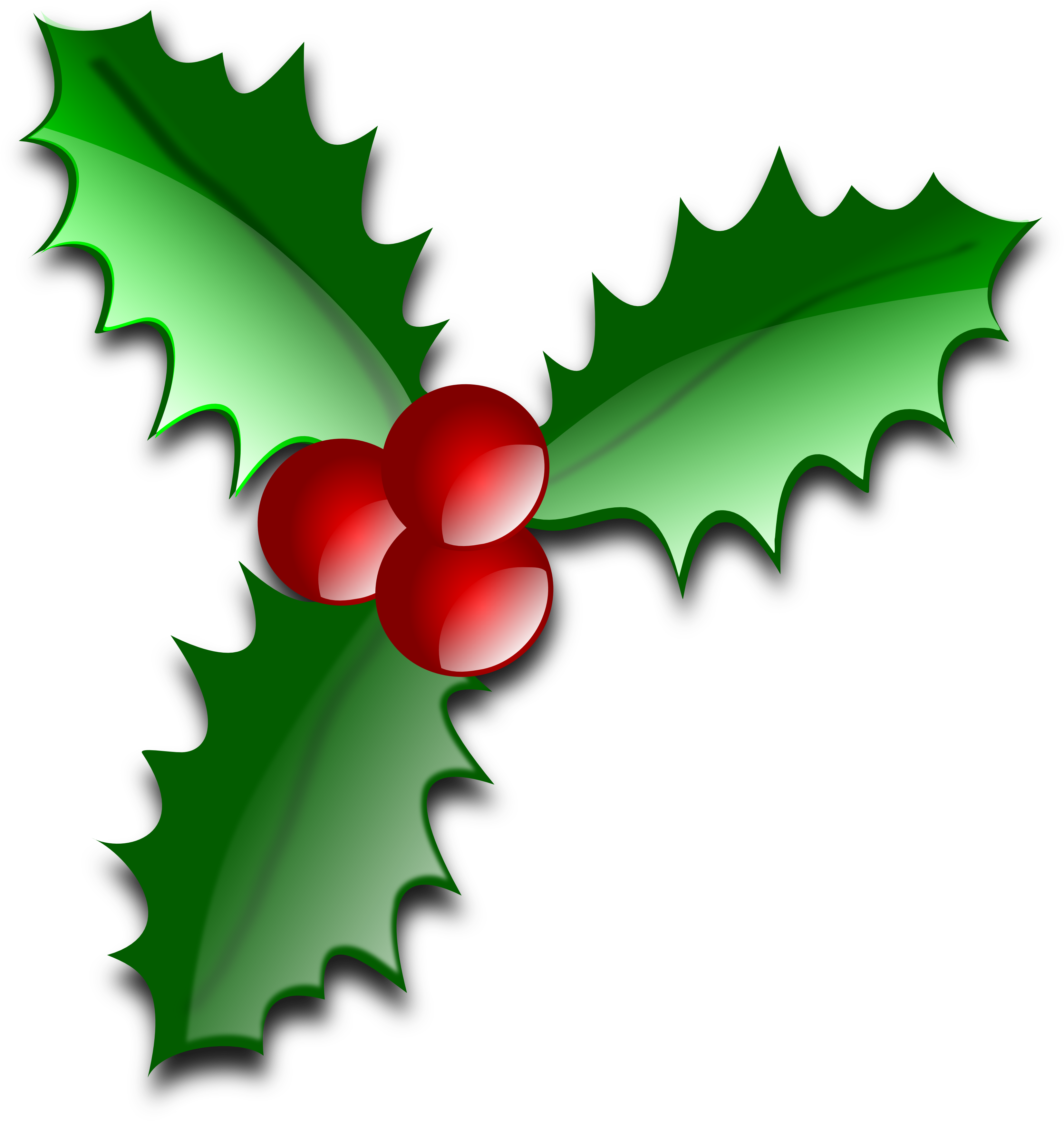 Holiday Galleries Clipart - Leaves Of Christmas Tree (1969x2071), Png Download