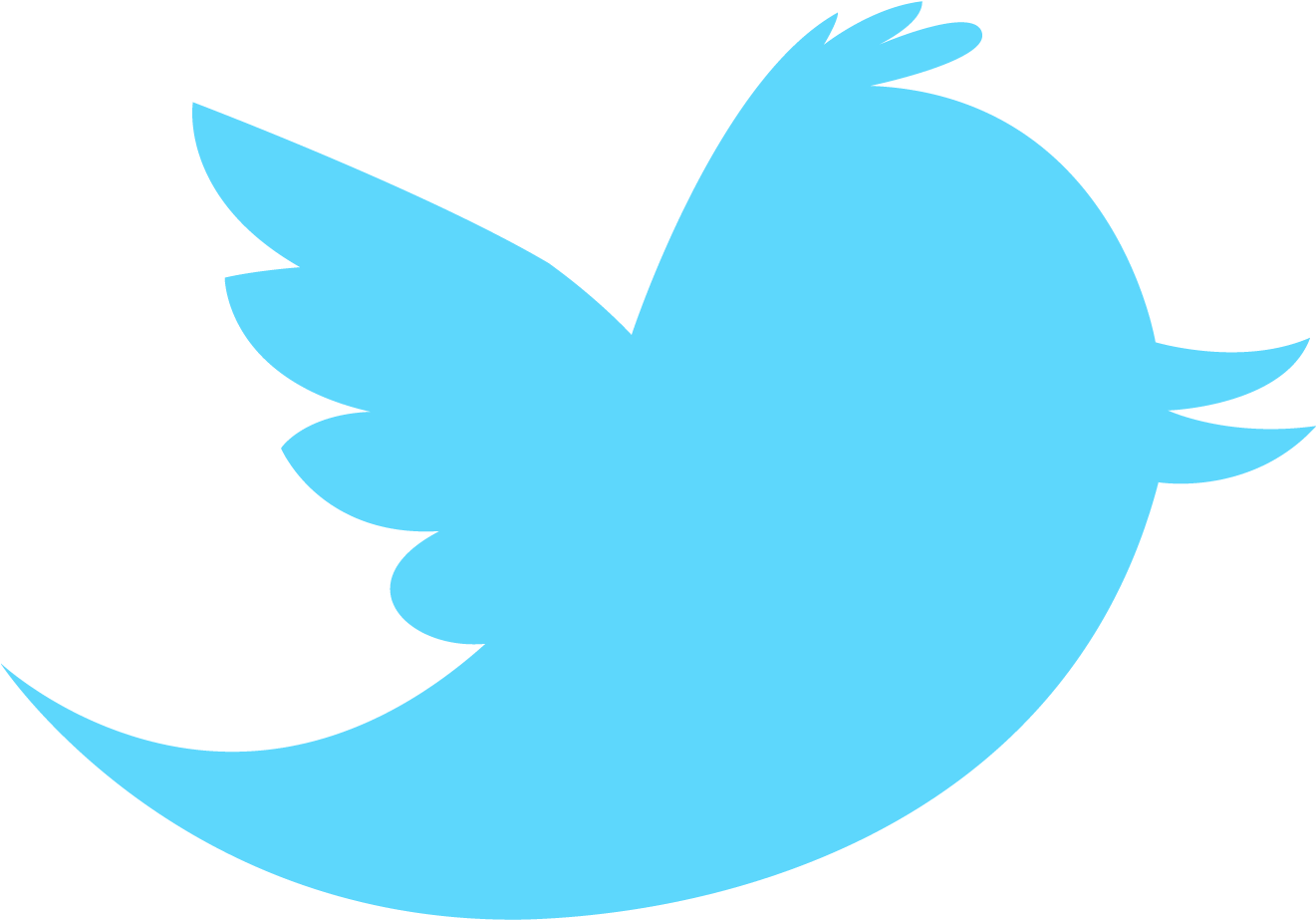 Download Png Logo Transparent - Twitter Icon Without Background PNG