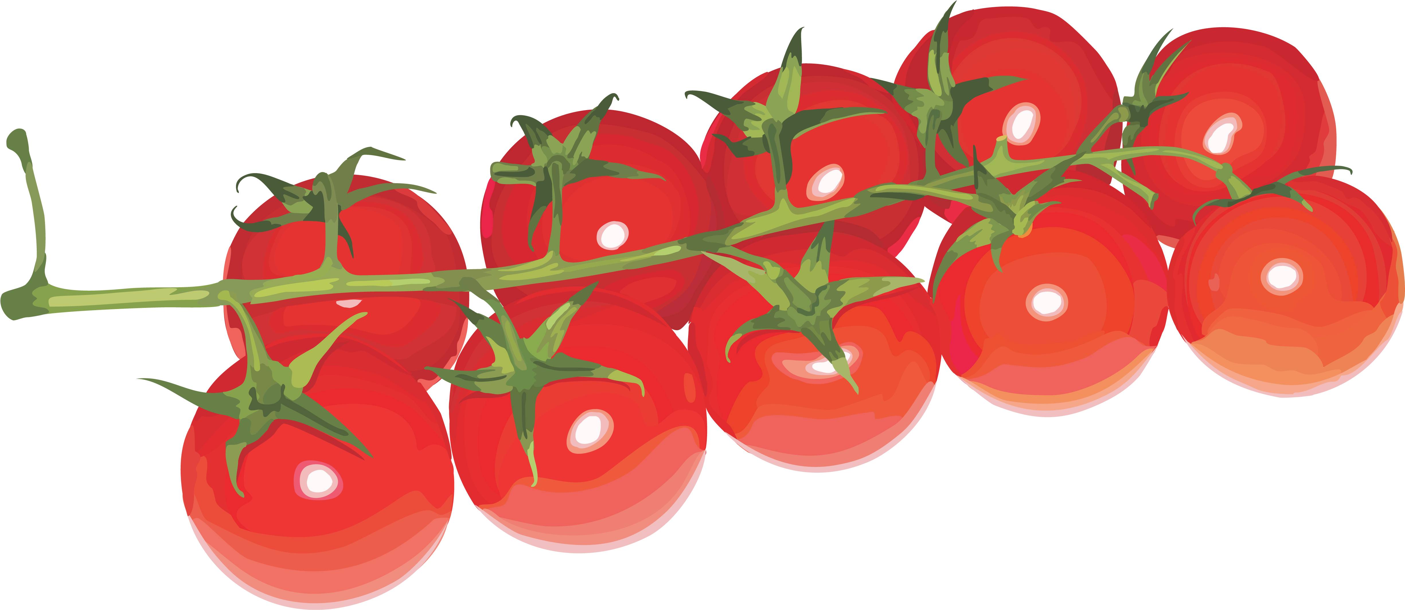 Cherry Tomatoes Transparent Background (5000x2223), Png Download