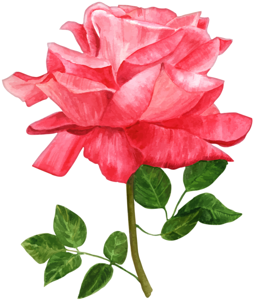 0, - Watercolor Flowers Png Transparent Clipart (508x600), Png Download