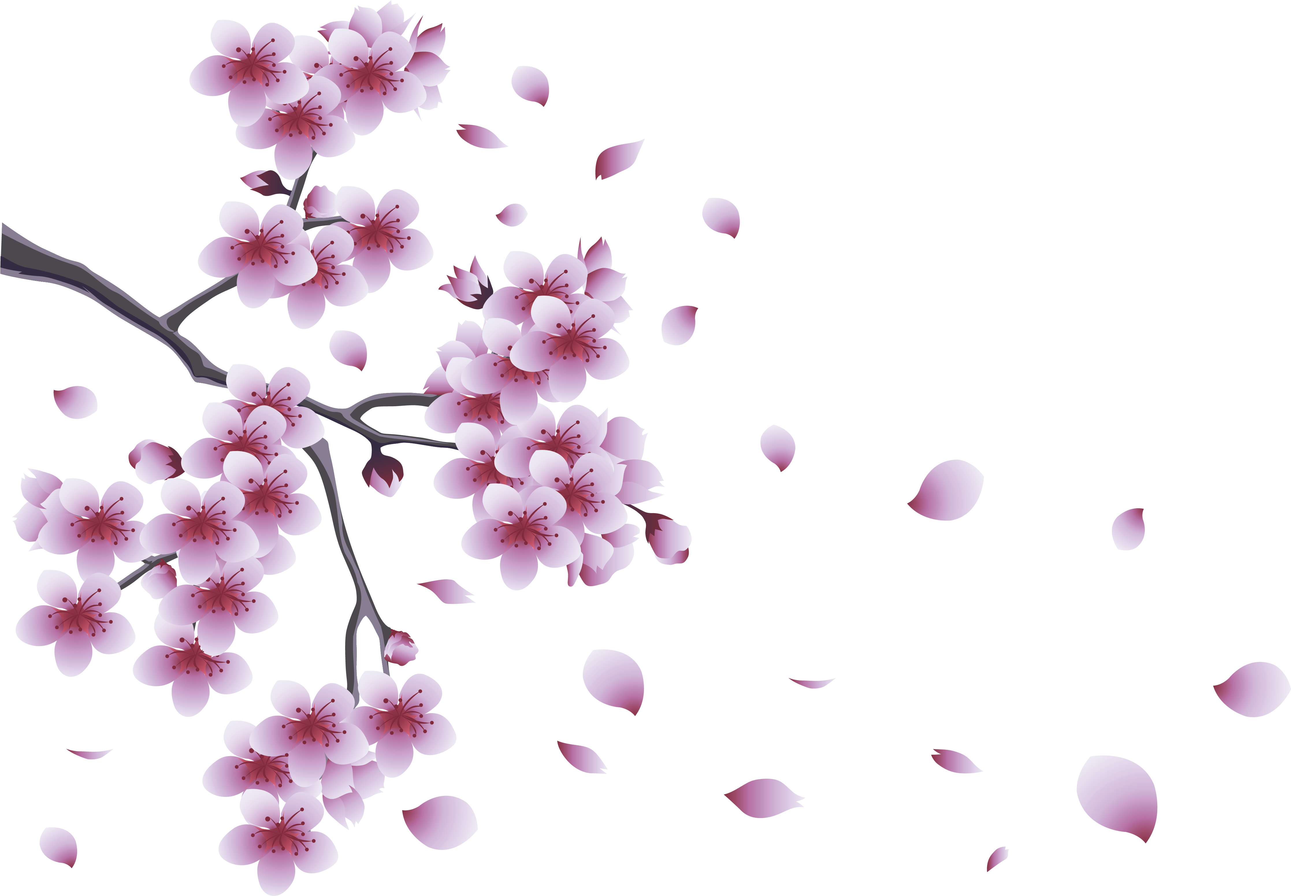Spring Png Pic - Spring Png (1600x1148), Png Download