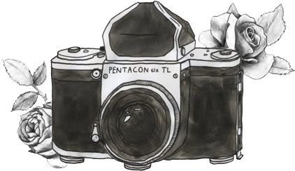 Camera Png (500x275), Png Download