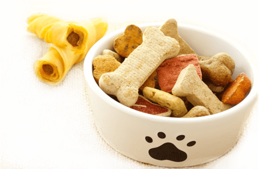 Pet Food Png - Pet Food Transparent (551x350), Png Download