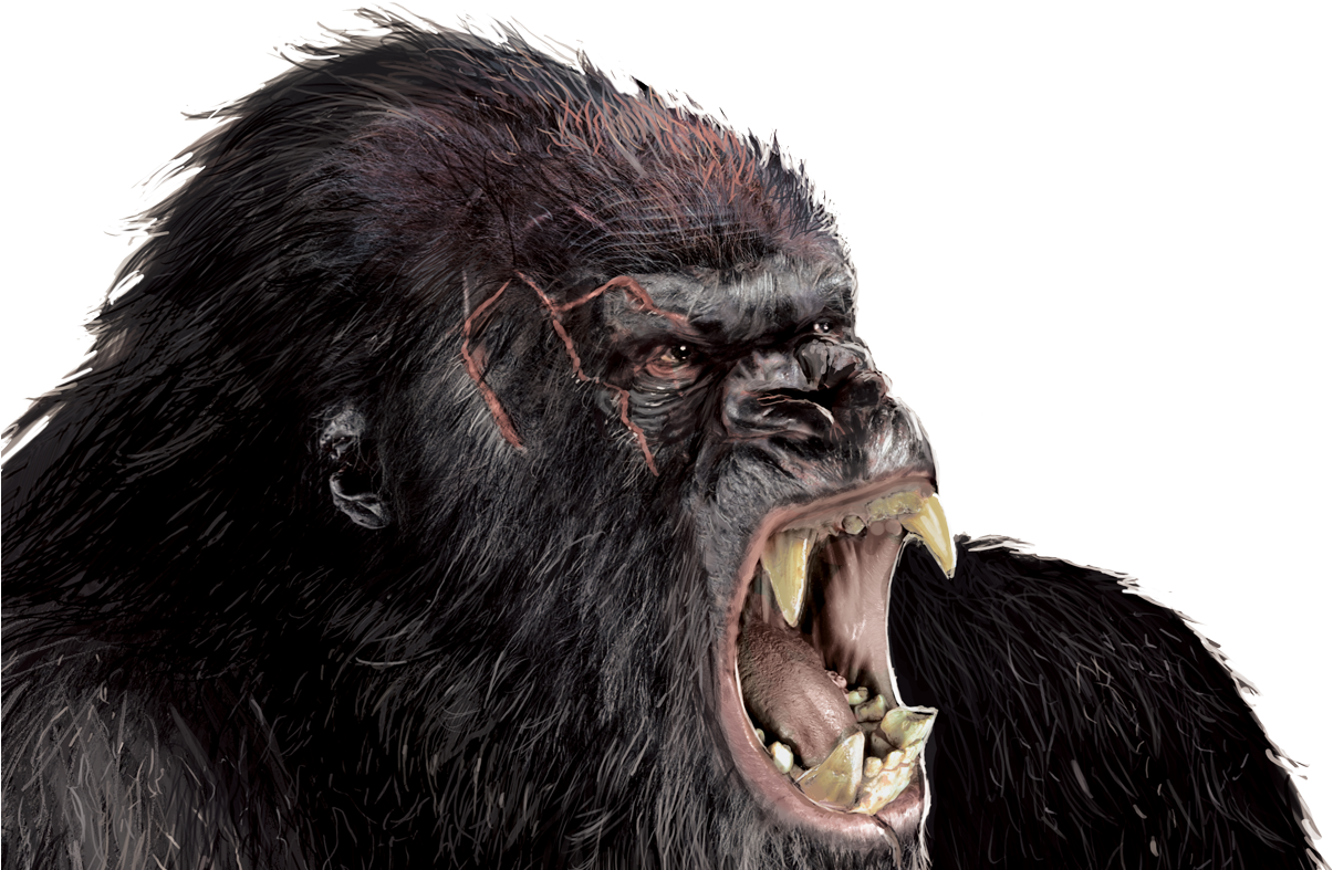 Free Icons Png - Godzilla King Kong Team Up (1211x800), Png Download