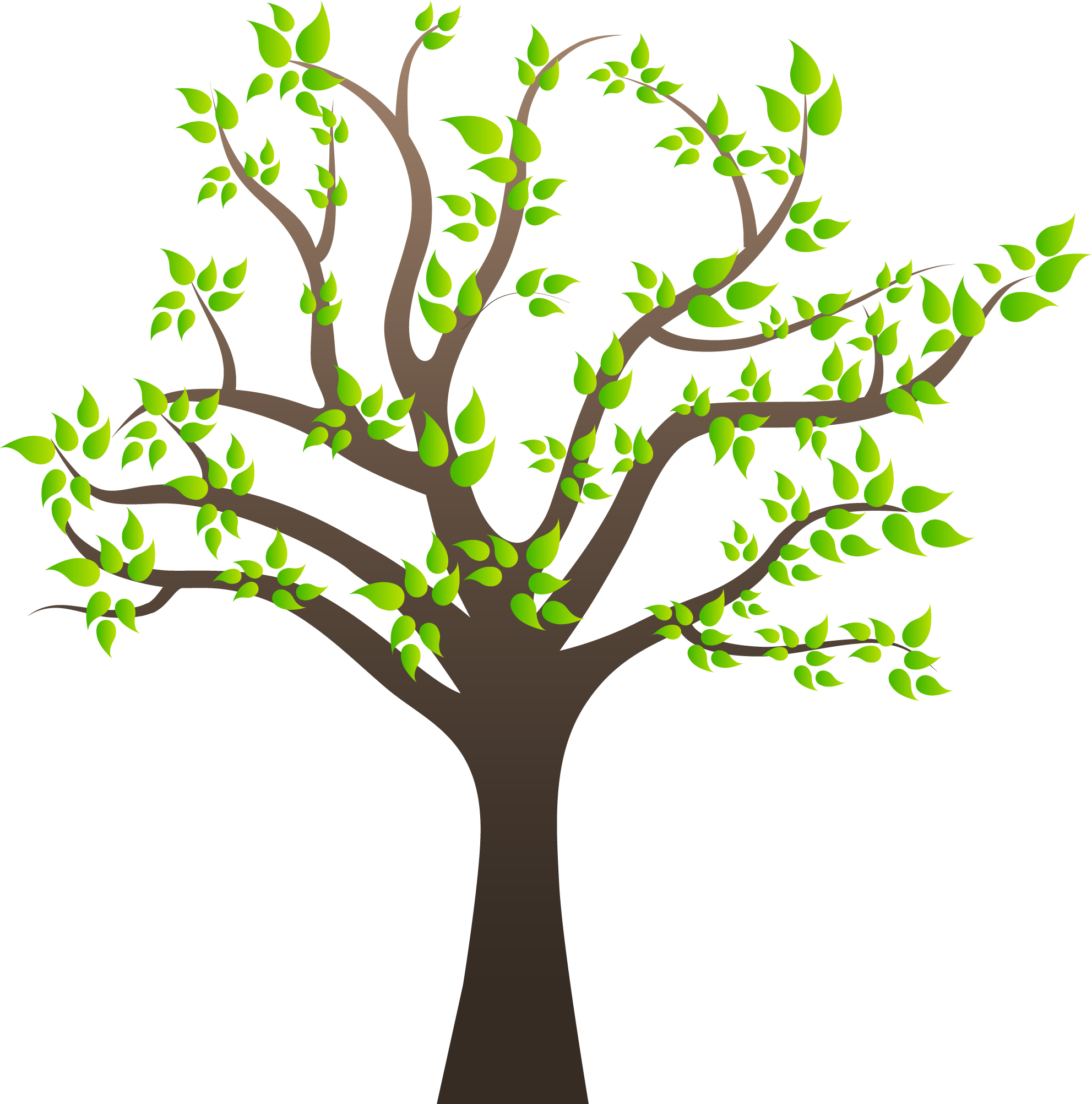 Svg Transparent Stock Images Quality Transparent Pictures - Tree With Branches Clipart Png (1983x2004), Png Download