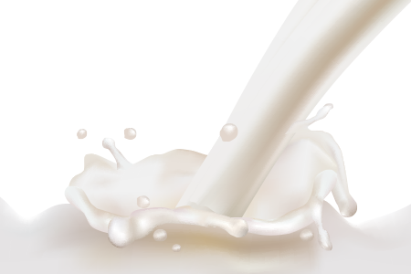 Milk Splashes Png - Milk Png (450x300), Png Download