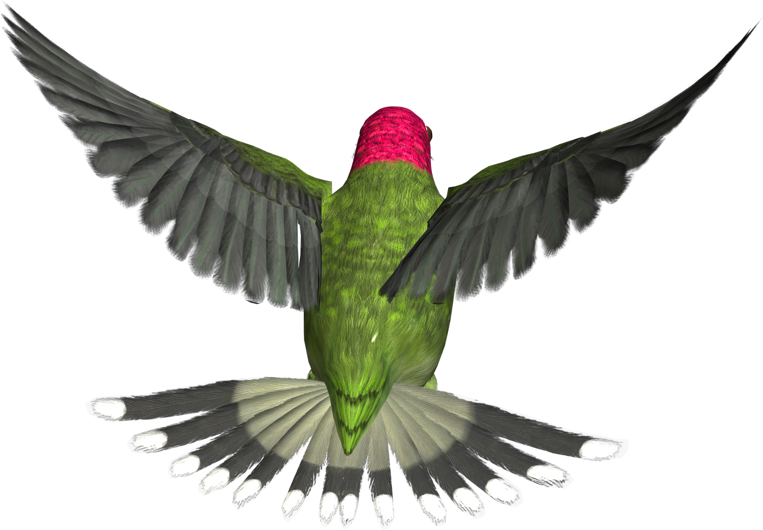 Download Bird Png - Flying Birds Gif Png PNG Image with No Background 