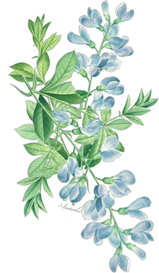 Ftestickers Watercolor Floral Leaves Greenery Corner (1024x1095), Png Download