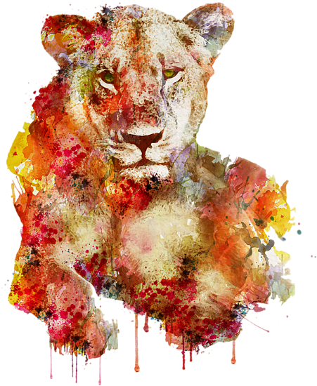 Bleed Area May Not Be Visible - Resting Lioness In Watercolor (600x600), Png Download