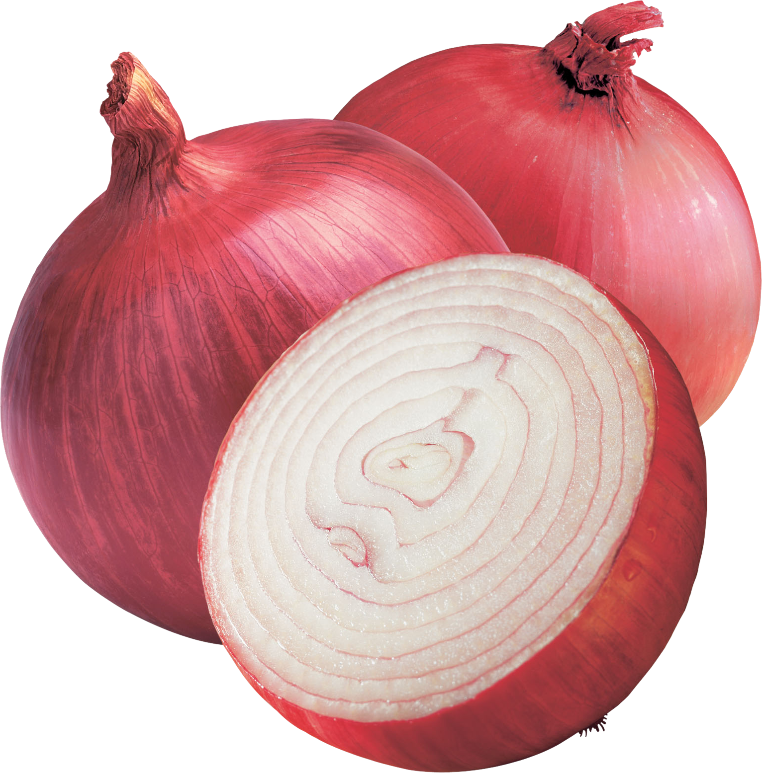 Onion Png Background Image - Transparent Background Onion Png (1532x1556), Png Download
