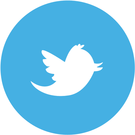 Twitter Circle Logo - Transparent Background Twitter Logo (500x500), Png Download