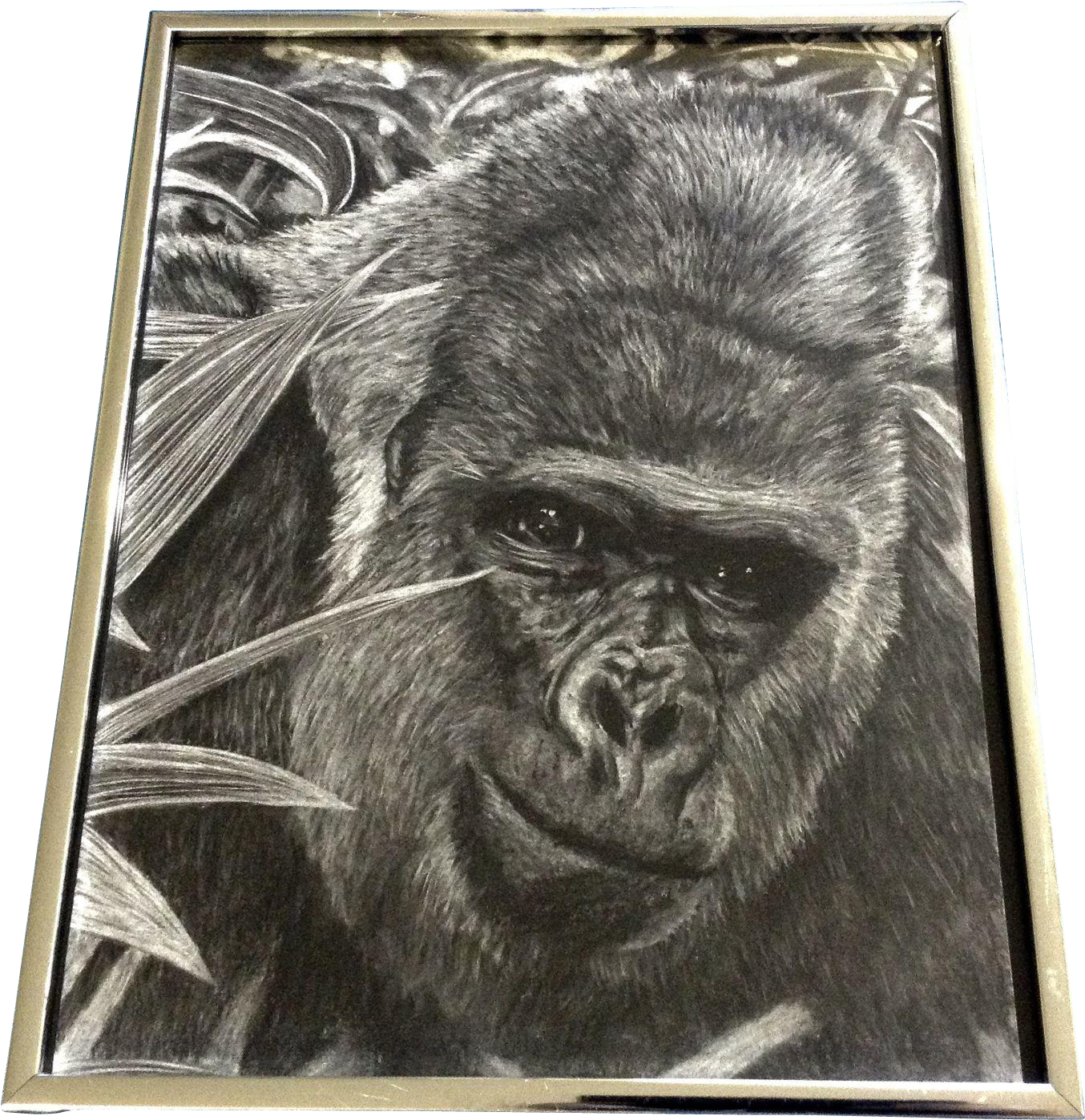 Gorilla Ape Realist Pencil Animal Drawing Works On - Drawing (1397x1397), Png Download